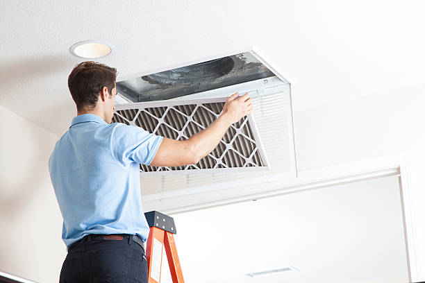 Best Best HVAC Companies  in Apple Mountain Lake, VA